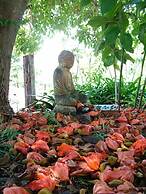 A Sacred Mountain Retreat