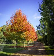 Bright Mystic Valley