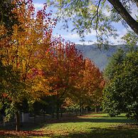 Bright Mystic Valley