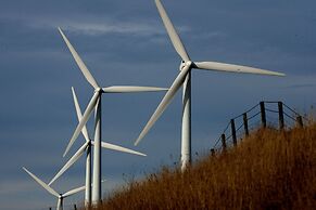 Cape Jervis Accommodation & Caravan Park