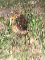 Milk-ya Guest House - Caters to Women only