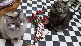 Milk-ya Guest House - Caters to Women only