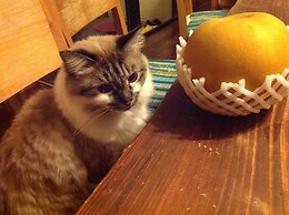 Milk-ya Guest House - Caters to Women only