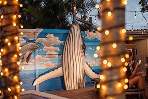 Noosa Flashpackers - Hostel