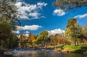 Discovery Parks - Mount Buffalo