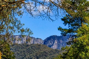 Discovery Parks - Mount Buffalo