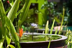 Cicada Luxury Townhouses