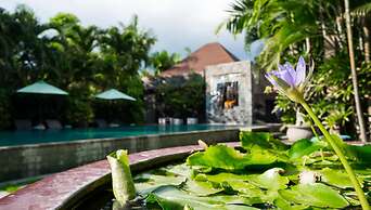 Cicada Luxury Townhouses