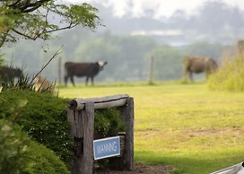 Barrington Hideaway- River Cottages