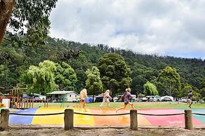 BIG4 Wye River Holiday Park