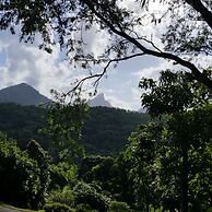 A View of Mt Warning B&B