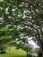 A View of Mt Warning B&B