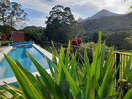 A View of Mt Warning B&B