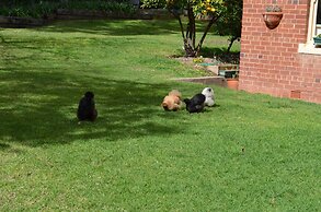 The Old Parkes Convent