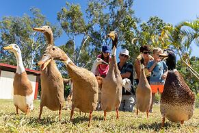 BIG4 Adventure Whitsunday Resort