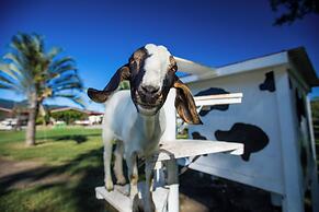 BIG4 Adventure Whitsunday Resort