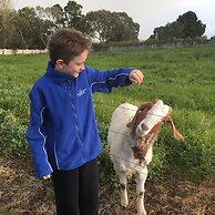Limestone Coast Tourist Park