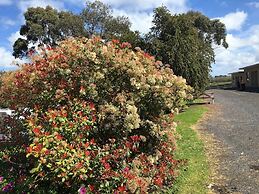 Limestone Coast Tourist Park