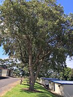 Limestone Coast Tourist Park