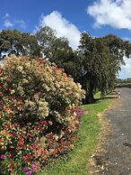Limestone Coast Tourist Park
