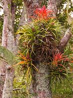 Craicor Accommodation