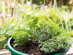 Craicor Accommodation