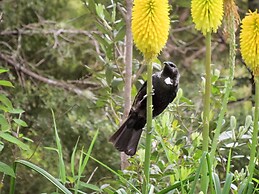 Craicor Accommodation