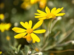 Craicor Accommodation