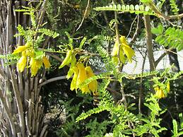 Craicor Accommodation