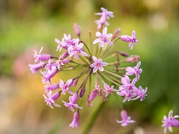 Craicor Accommodation