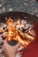 Bay and Bush, Jervis Bay