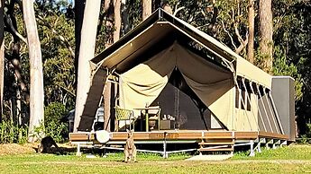 Bay and Bush, Jervis Bay