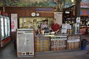 PKs Jungle Village - Hostel