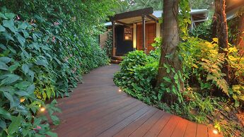 Misty View Cottages Montville