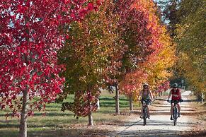 Harrietville Snowline Hotel