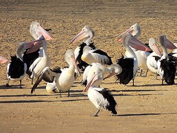 Pelican Sands Scamander