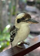 Serenity on Magnetic