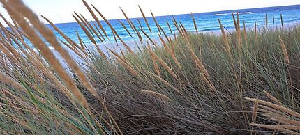 Blue Seas Holiday Villas