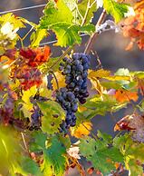 Blue Seas Holiday Villas