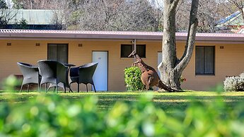 Hamilton Hume Motor Inn