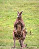 The Barn at Charlottes Hill