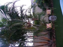 Rosebourne Gardens Motel