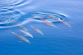 Ingenia Holidays Eden Beachfront