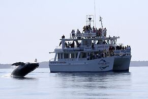 Ingenia Holidays Eden Beachfront