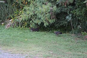 Central Tourist Park