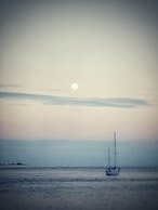 Corrigans Cove