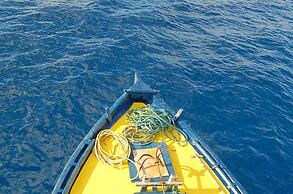 Vaali Maldives Island Escapes & Dive