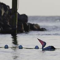 Tuncurry Motor Lodge