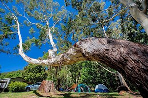 BIG4 Yarra Valley Park Lane Holiday Park