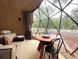 BIG4 Yarra Valley Park Lane Holiday Park